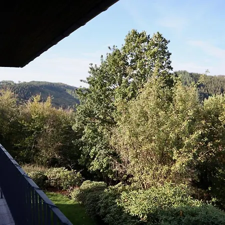 Ferienhaus Blick Auf Dedenborn Holiday home